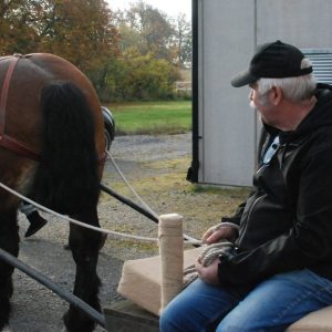 Blandade inslag